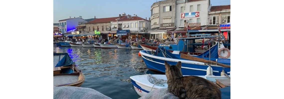 İzmir Foça İlçesi İş Elbiseleri ve Personel Kıyafetleri