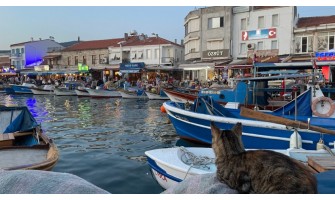 İzmir Foça İlçesi İş Elbiseleri ve Personel Kıyafetleri